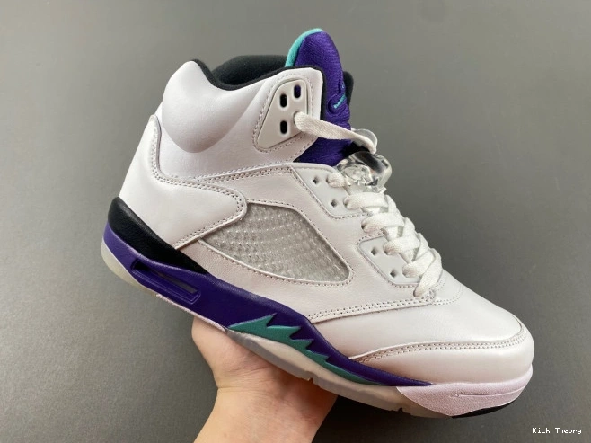 Kicktheory Jordan Air 136027-108 Retro Grape (2013) 5 0704